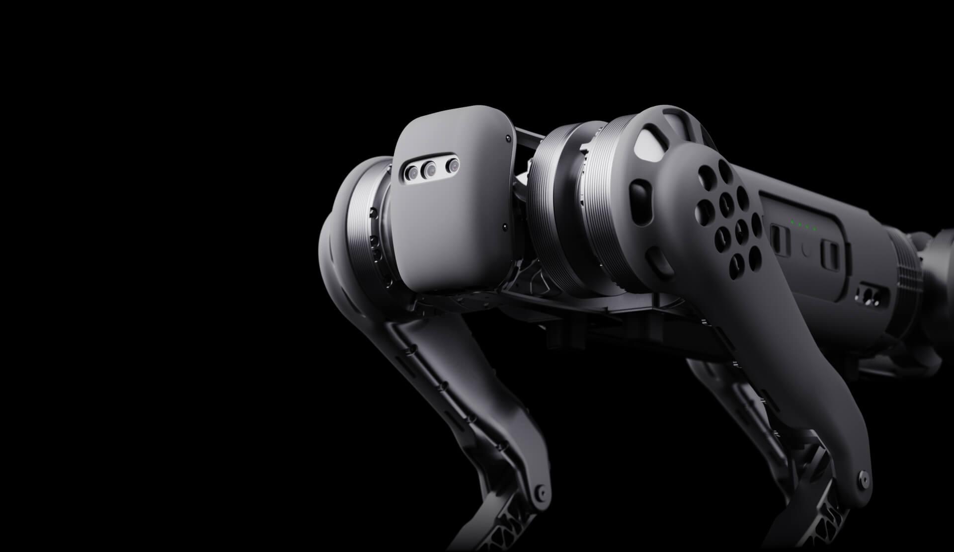 Unitree B1 köpek robot